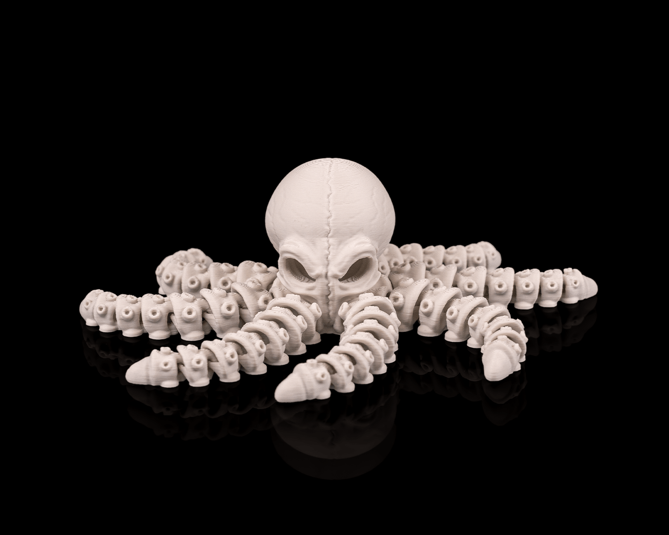 Polvo Esqueleto Articulado - Skeleton Octopus
