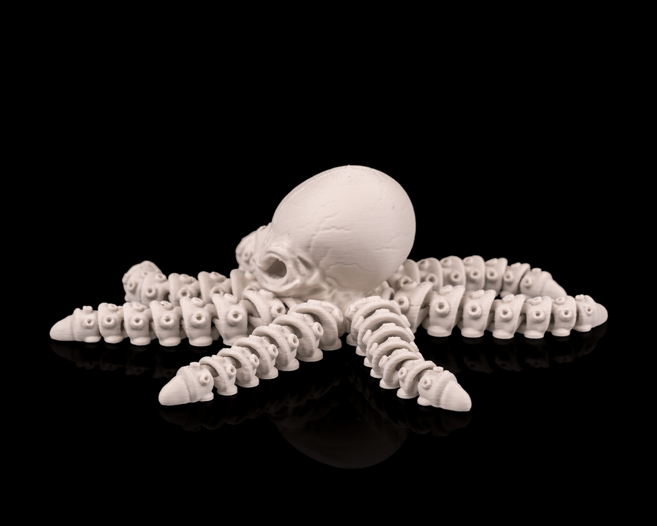 Polvo Esqueleto Articulado - Skeleton Octopus - Imagem 4