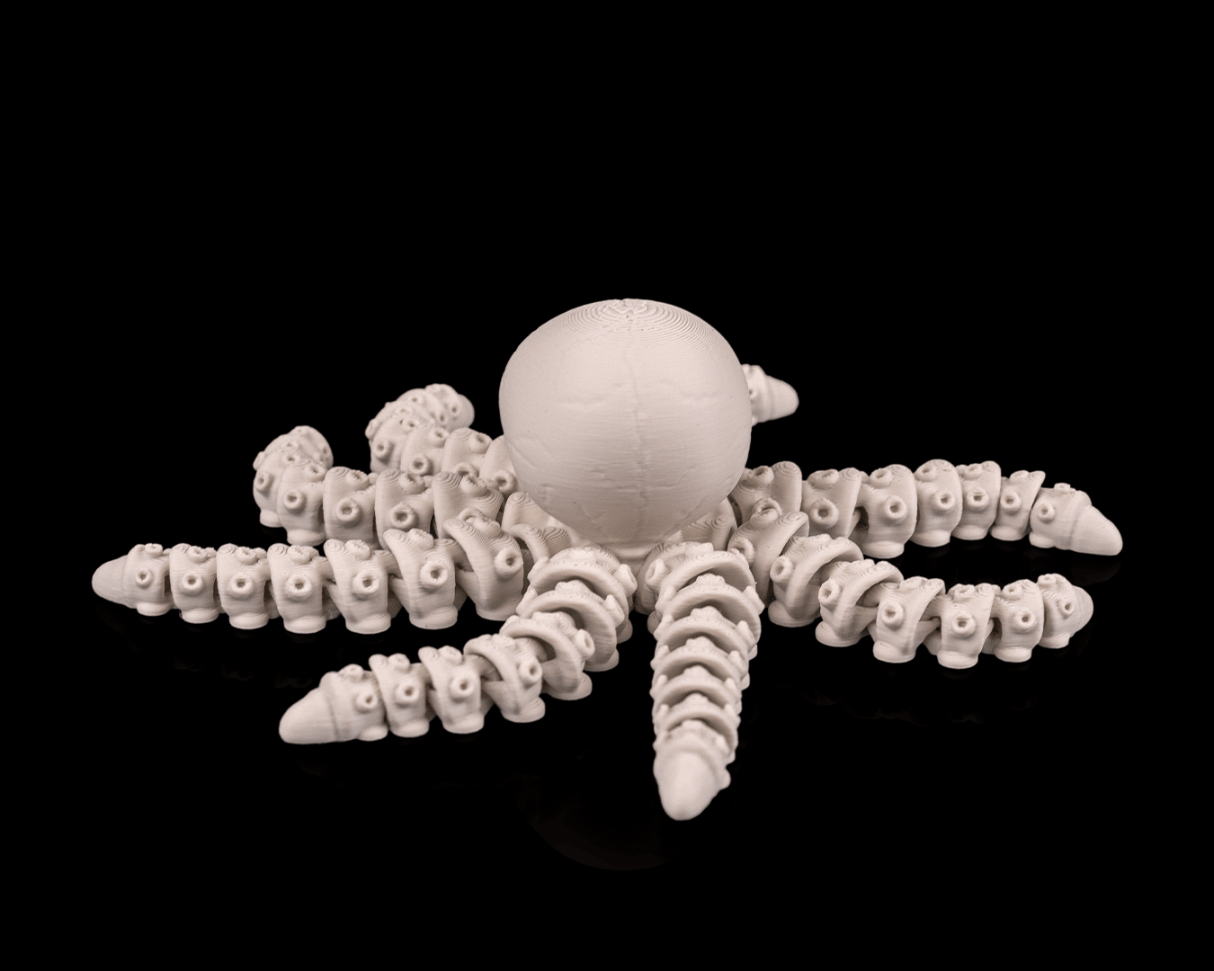 Polvo Esqueleto Articulado - Skeleton Octopus - Imagem 2