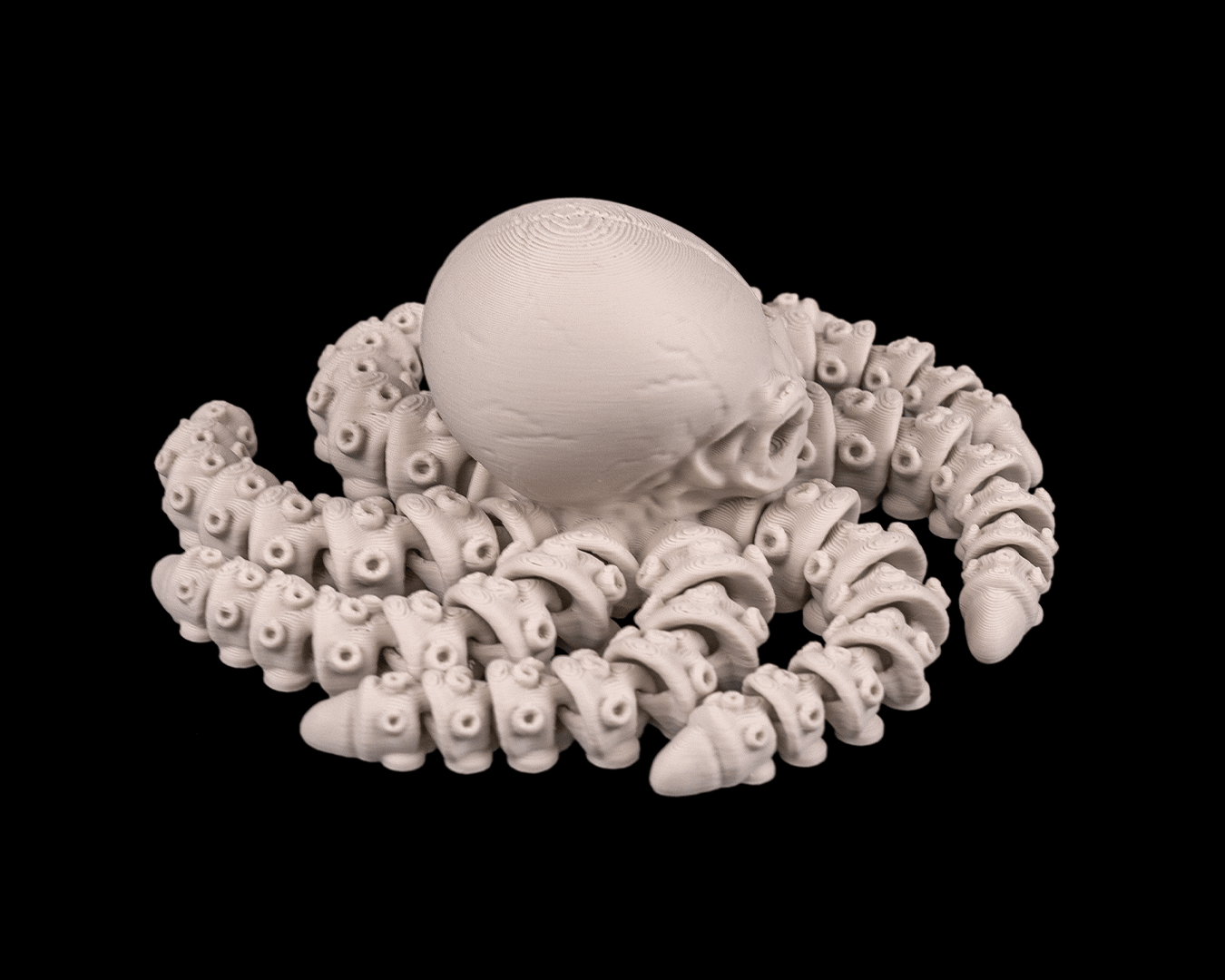 Polvo Esqueleto Articulado - Skeleton Octopus - Imagem 3